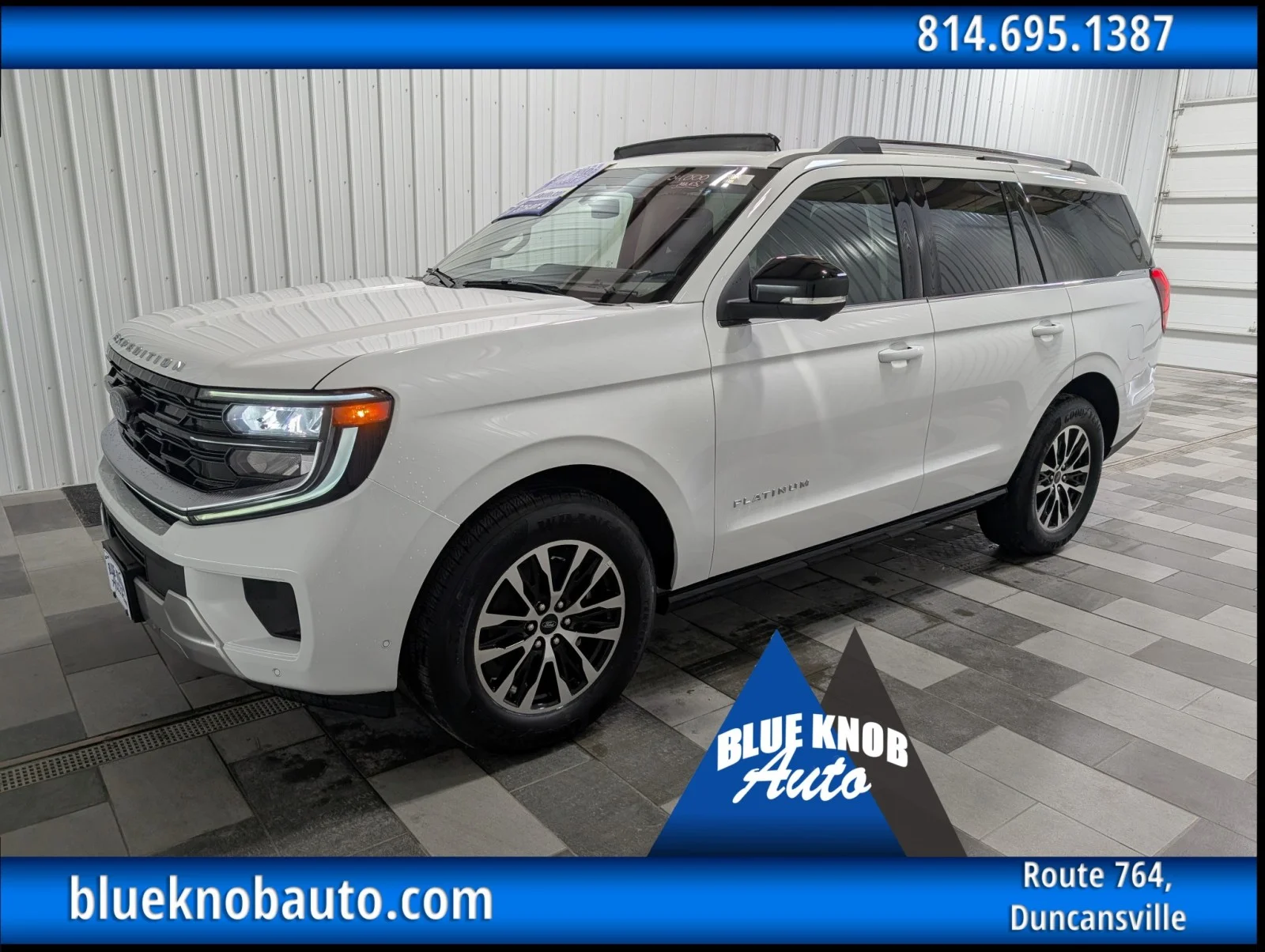2025 Ford Expedition Platinum 4x4's photo