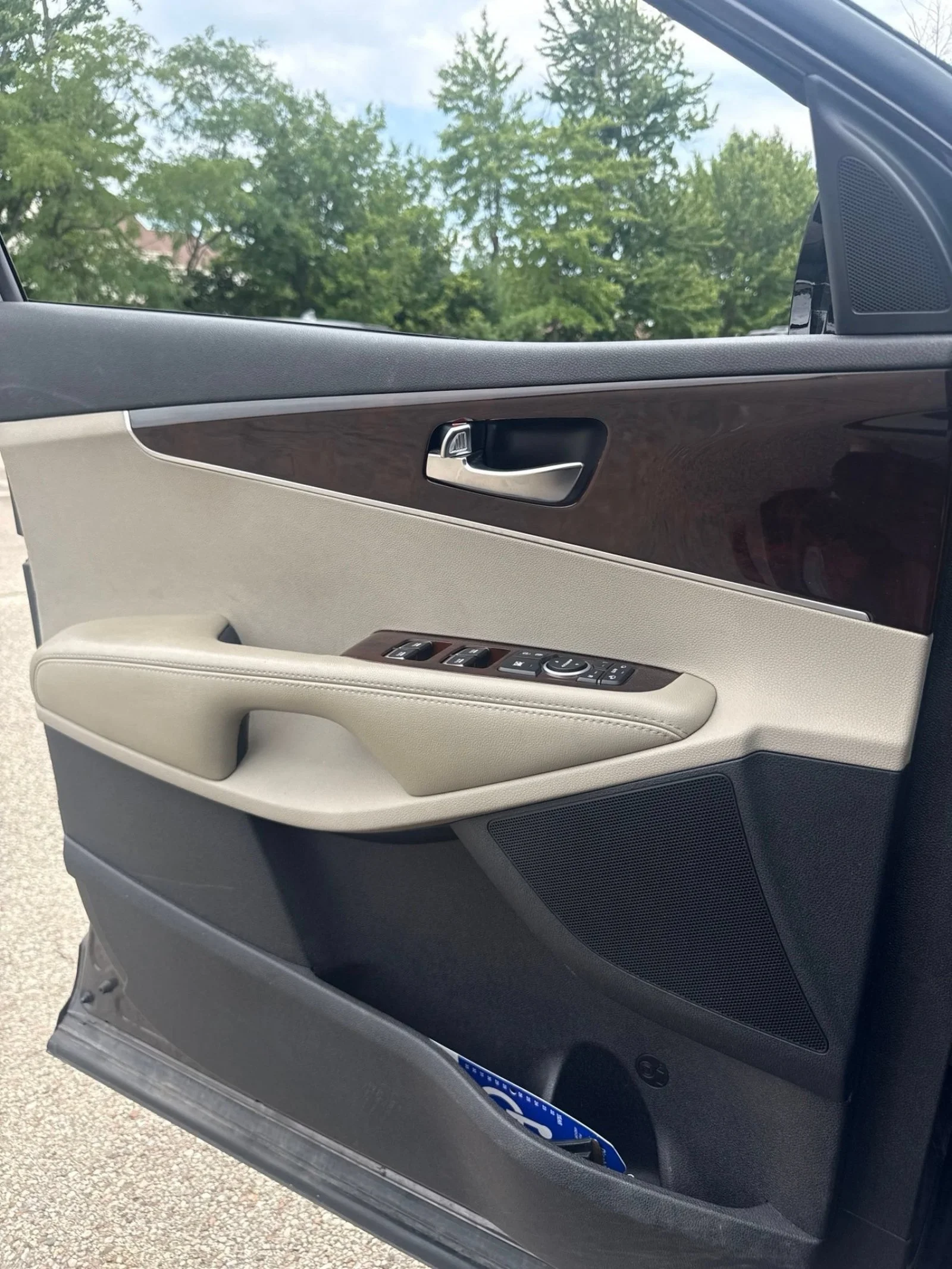 Used 2018 Polished Walnut Kia EX V6 image 6