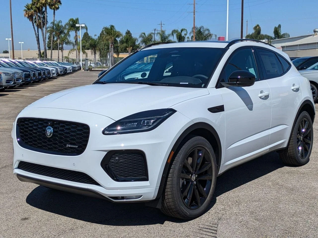 2024 Jaguar E-PACE P250 R-DYNAMIC SE's photo