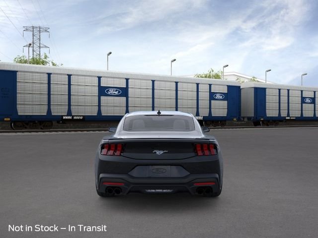 New 2026 Shadow Ford EcoBoost image 5