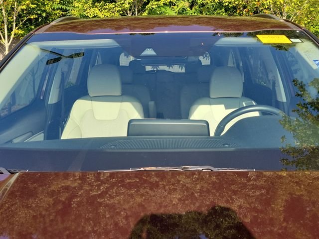 Used 2022 Sangria Kia S image 10
