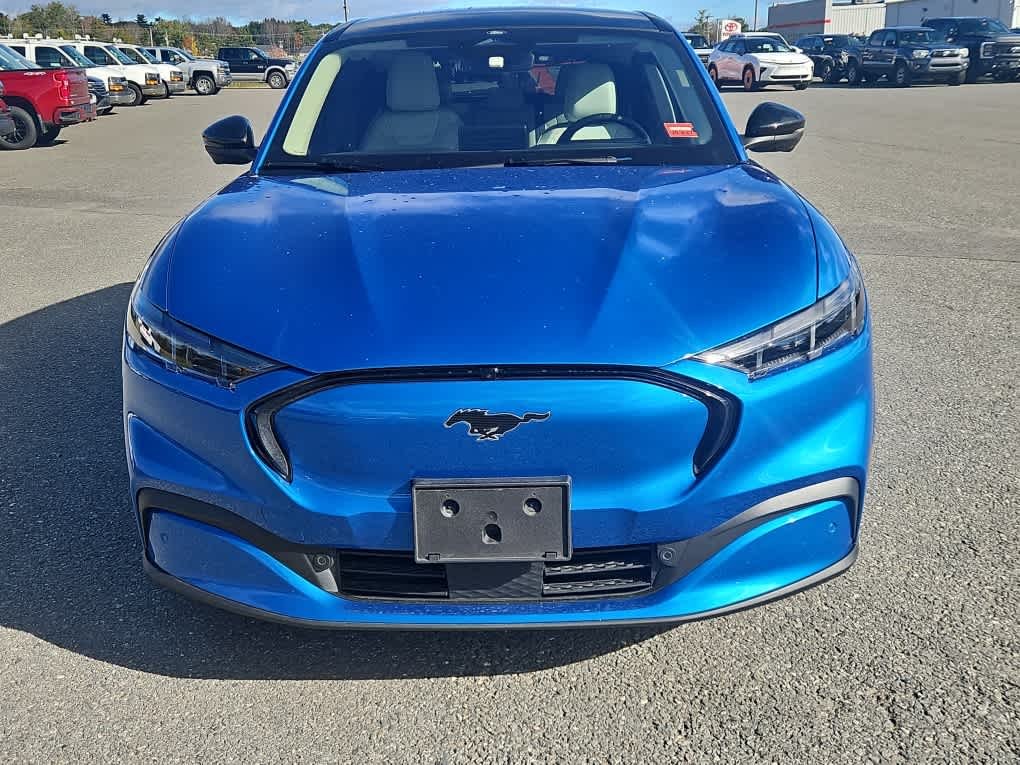 Used 2025 Velocity Blue Metallic Ford Premium image 4