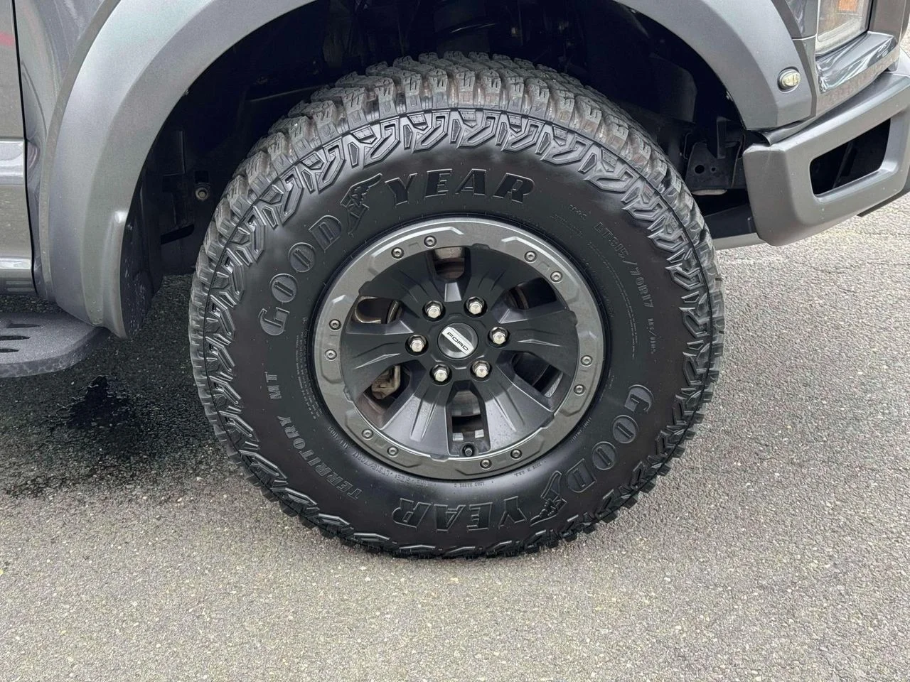 Used 2018 Magnetic Ford Raptor image 10