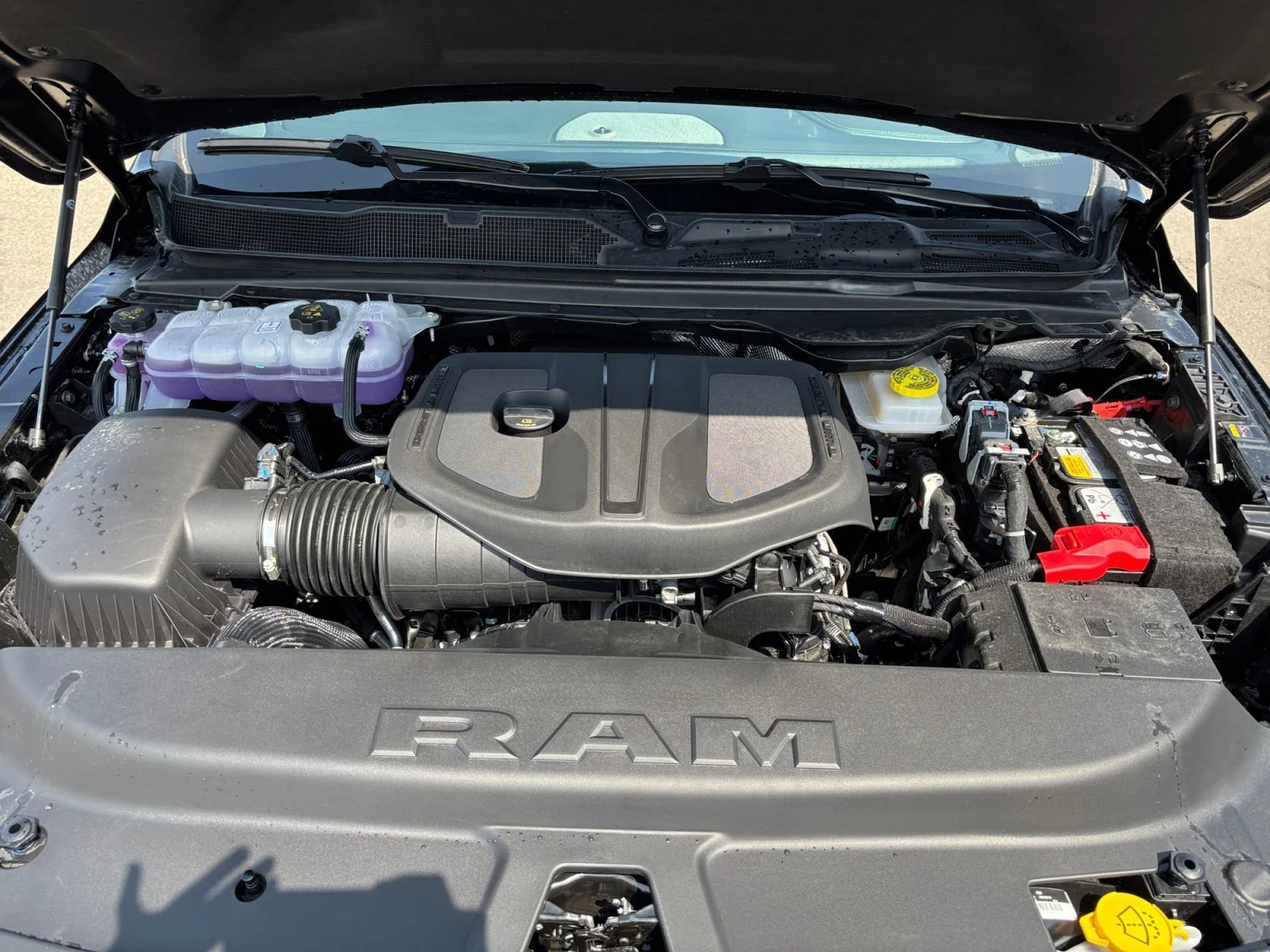 New 2026 Diamond Black Crystal Pearl Ram Rebel image 20