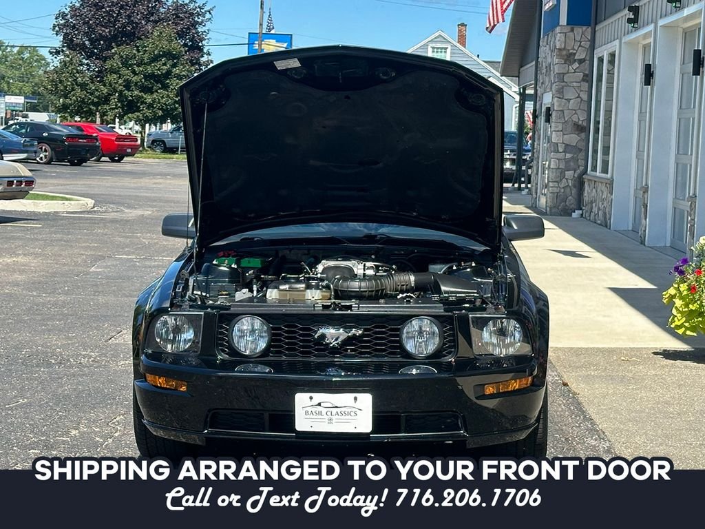 Used 2005 Black Ford  image 18