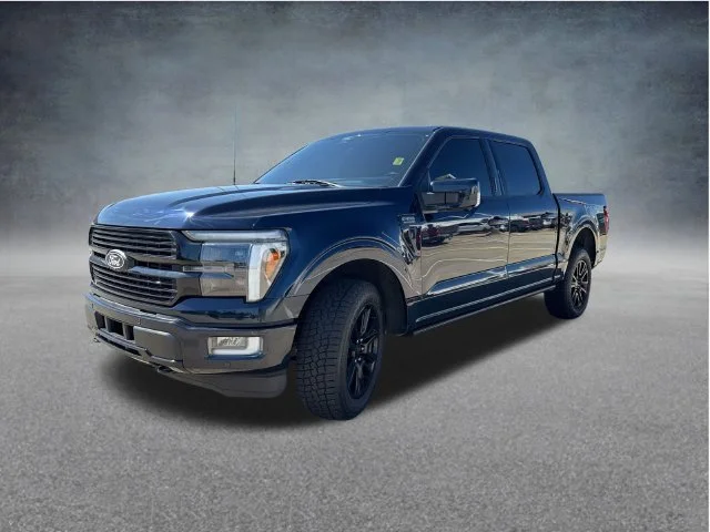 Used 2024 Blue Ford Platinum image 5