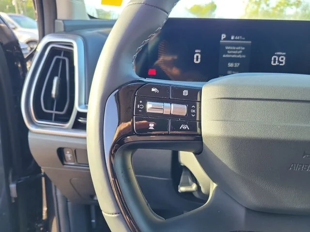 New 2026 Panthera Metal Kia LX image 11