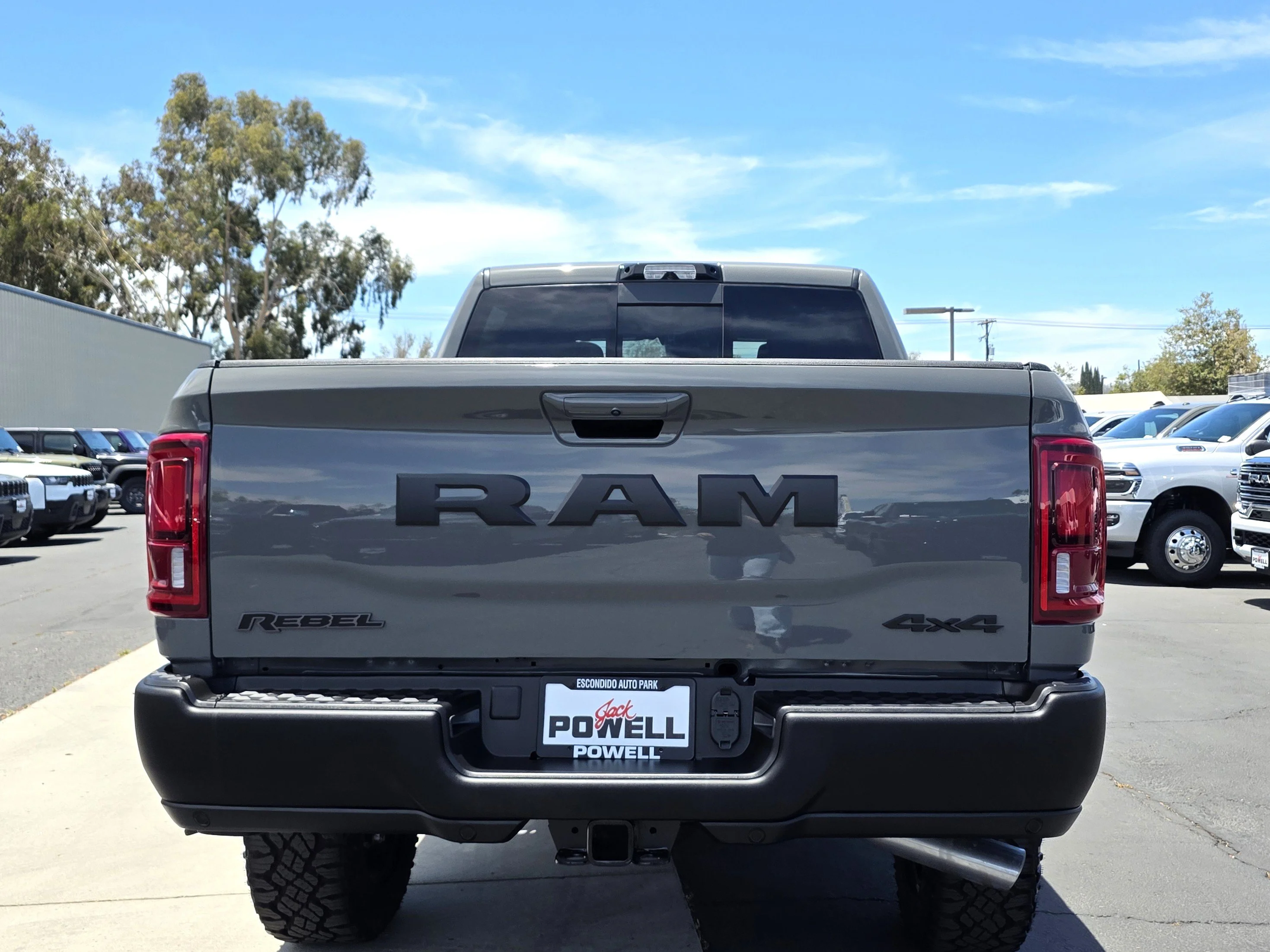New 2026 Green Metallic RAM RHO image 4