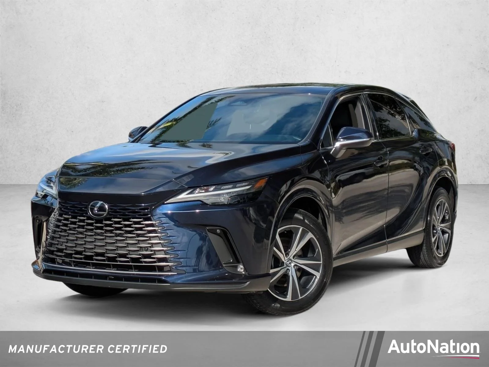 2024 Lexus RX