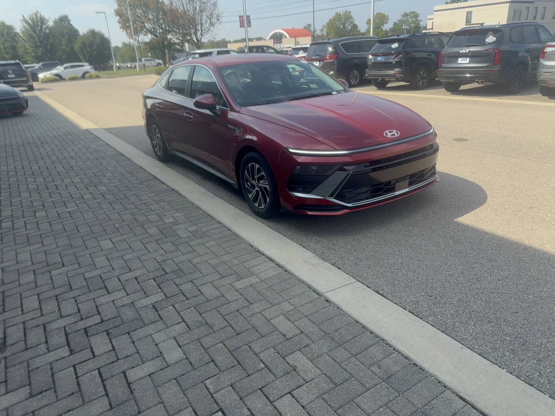 New 2026 Ultimate Red Metallic Hyundai Blue image 3
