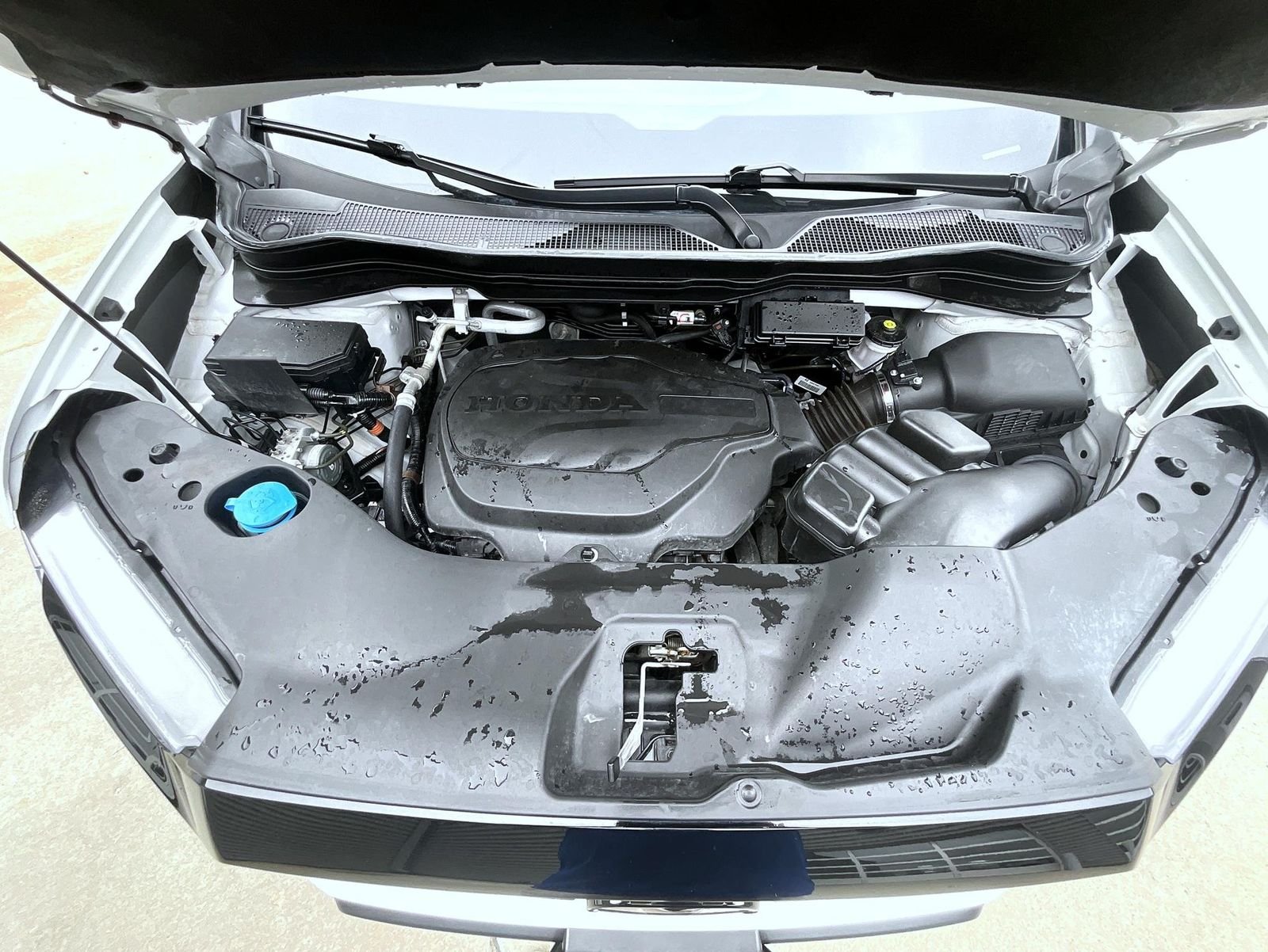 Certified Used 2022 White Honda Elite image 26