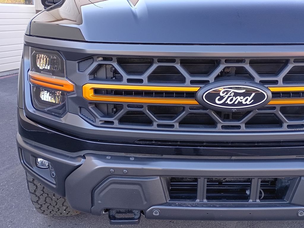 2025 Ford F-150 Tremor - Photo 12