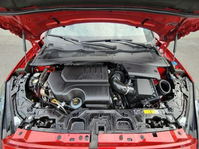 Used 2024 Red Jaguar P250 image 9