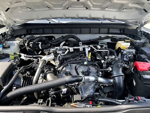 New 2026 Gray Ford Base image 12