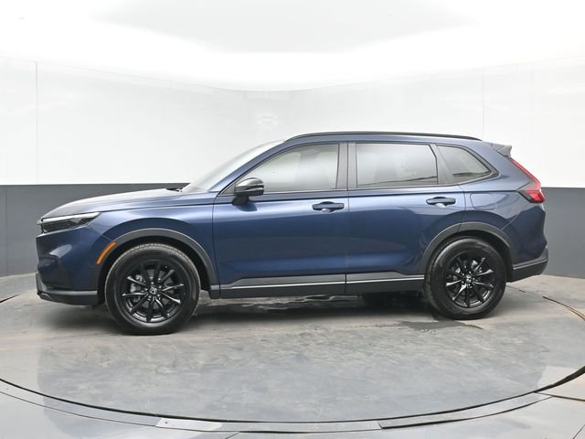 Used 2026 Blue Honda Sport-L image 5