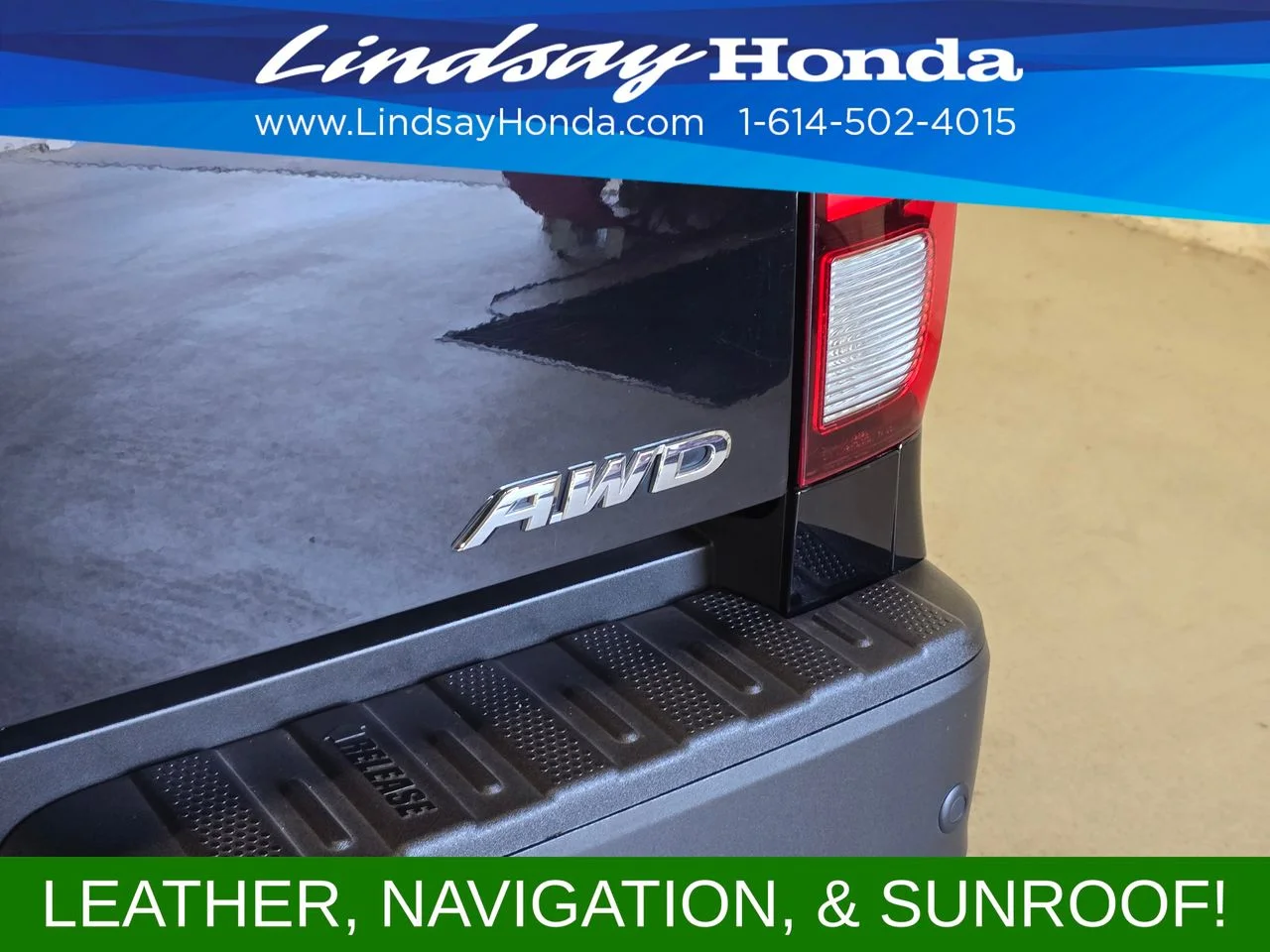 Used 2023 Crystal Black Pearl Honda Black Edition image 8