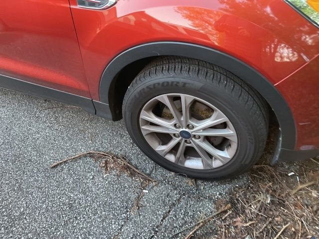 Used 2019 Ford Escape SE with VIN 1FMCU0GD3KUB11479 for sale in Louisville, KY