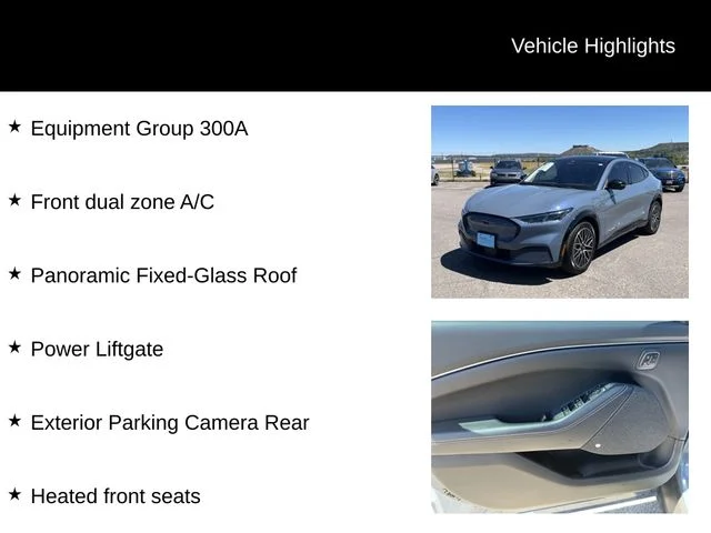 Used 2024 Blue Ford Premium image 8
