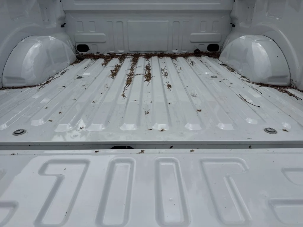 New 2026 White Ford STX image 18