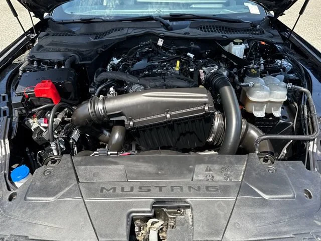 Used 2024 Shadow Black Ford EcoBoost Premium image 28