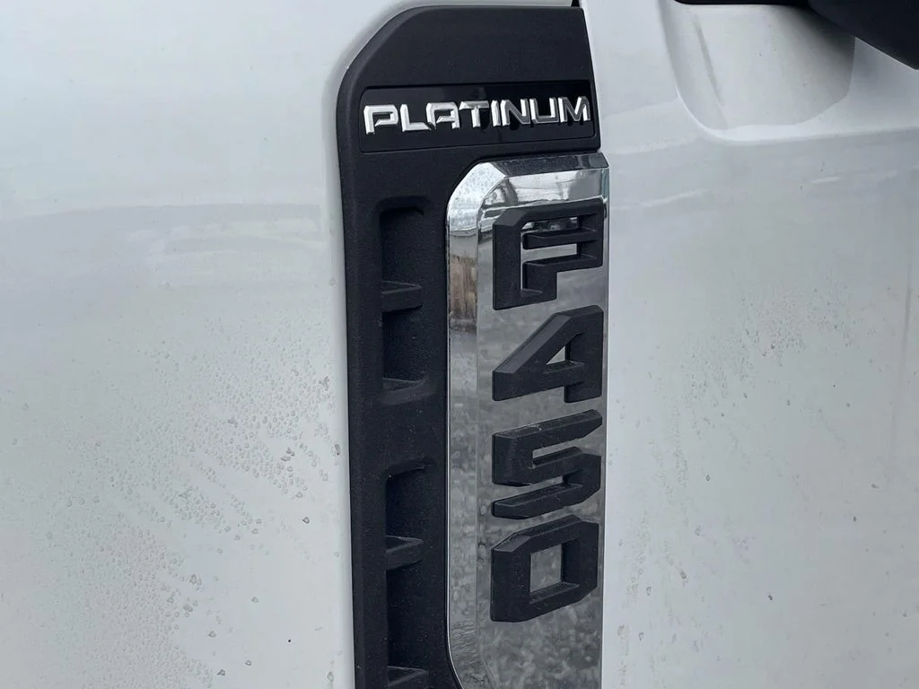 New 2026 White Ford Platinum image 22