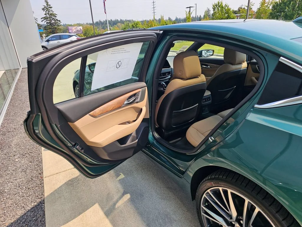 New 2026 Typhoon Metallic Cadillac Premium Luxury image 15