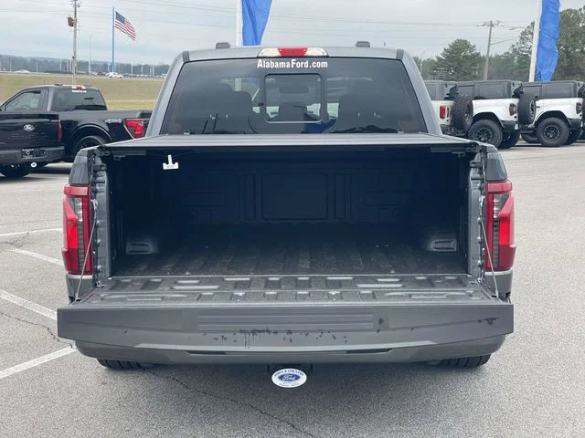 New 2026 Carbonized Gray Metallic Ford TCcustoms image 9