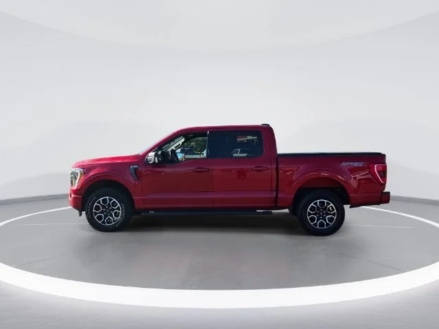 Used 2023 Red Ford XLT image 5