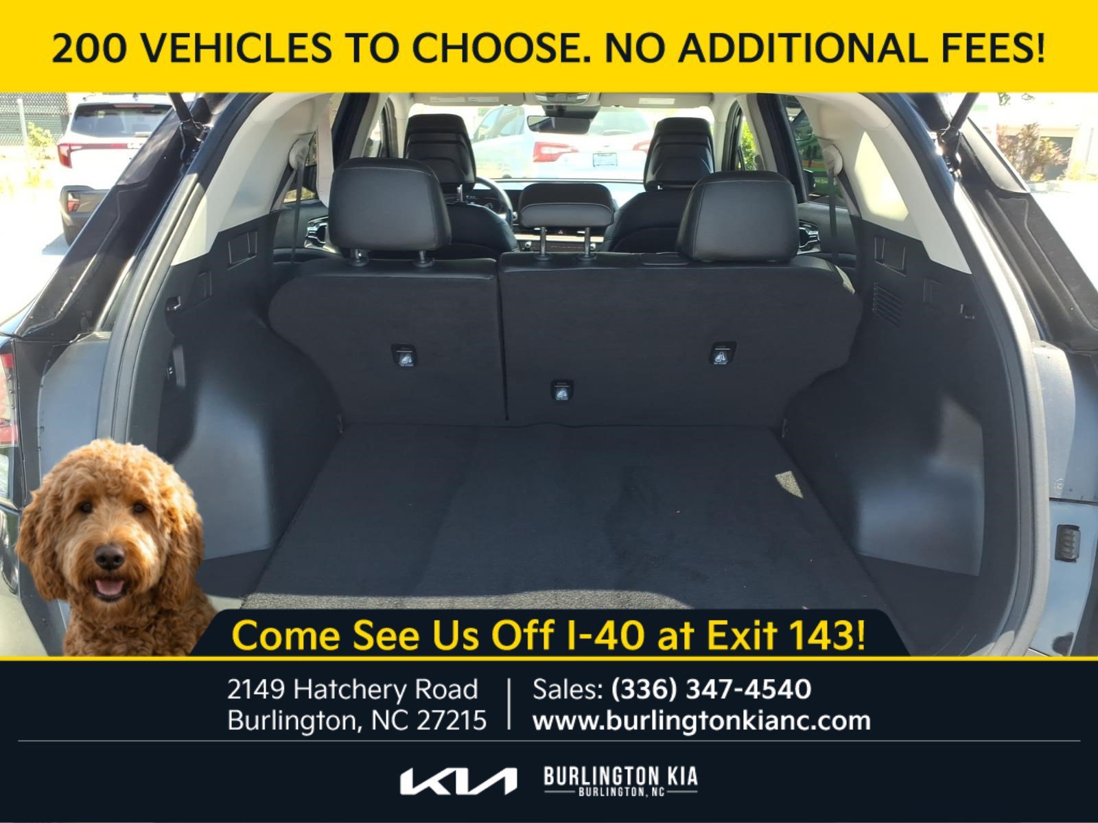 Certified Used 2024 Ebony Black Kia EX image 25