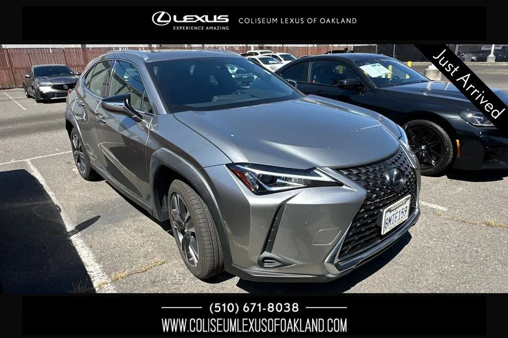2019 Lexus UX 300h 250h AWD's photo