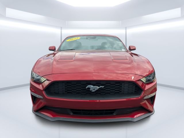 Used 2022 Red Ford EcoBoost image 8