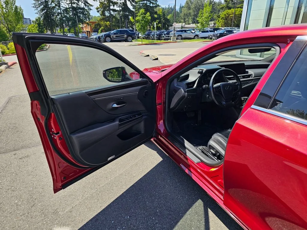 Used 2019 Maroon Lexus ES 300h image 18
