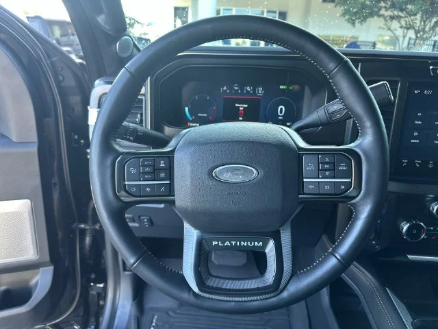 Used 2024 Black Ford Platinum image 15