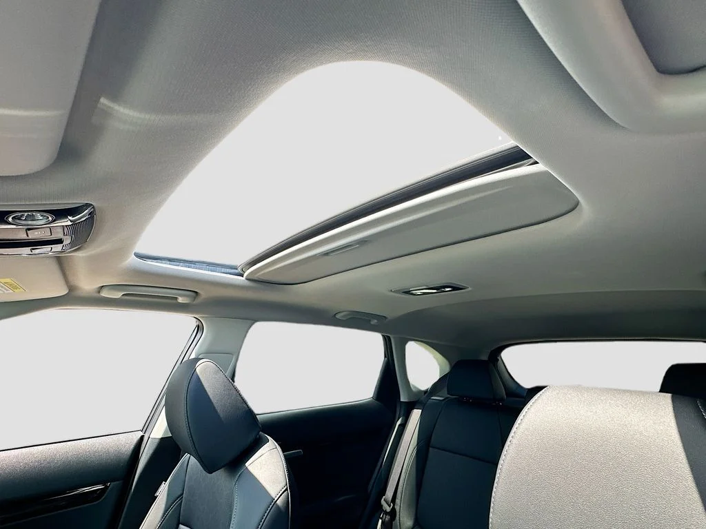 New 2026 Gravity Gray Kia SX image 23