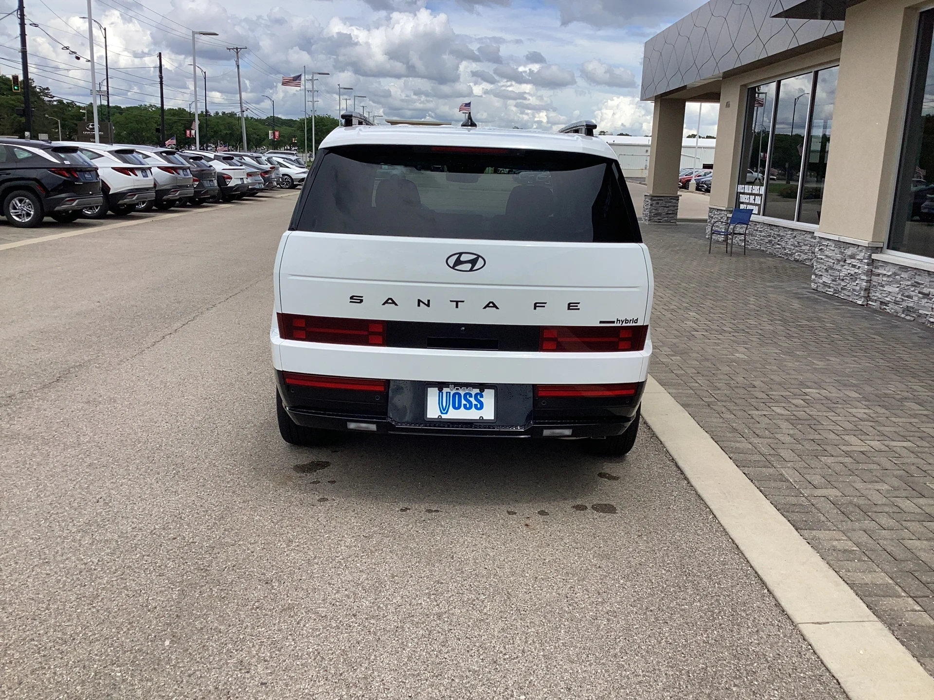 New 2026 Serenity White Pearl Hyundai Calligraphy image 12