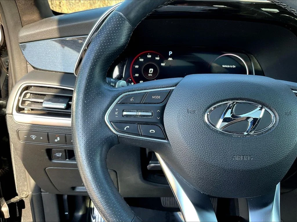 Used 2022 Rainforest Hyundai Calligraphy image 11