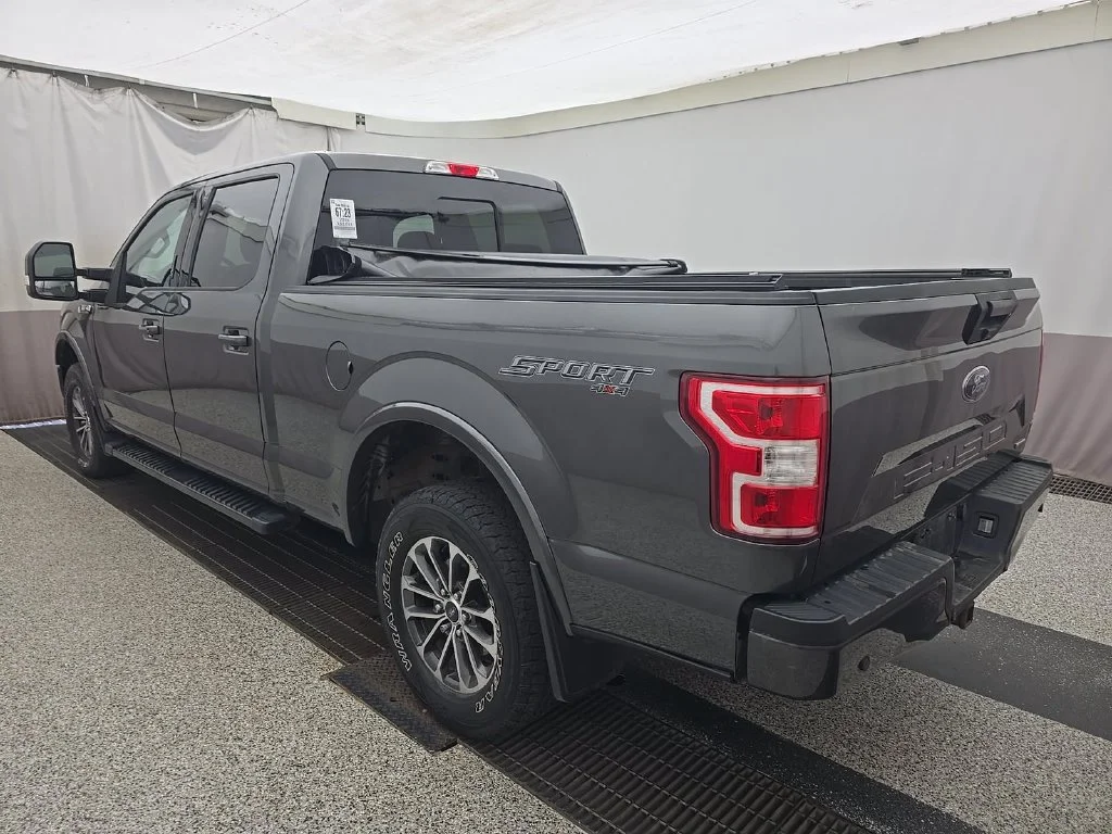 Used 2019 Gray Ford XLT image 3
