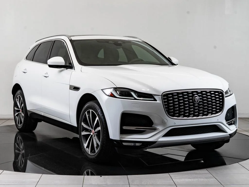 Used 2023 Fuji White Jaguar P250 S image 10