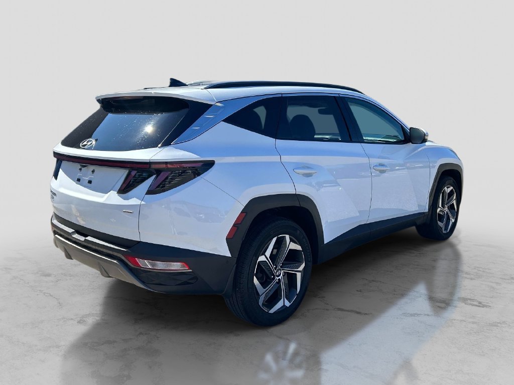 Used 2023 White Hyundai Limited image 5