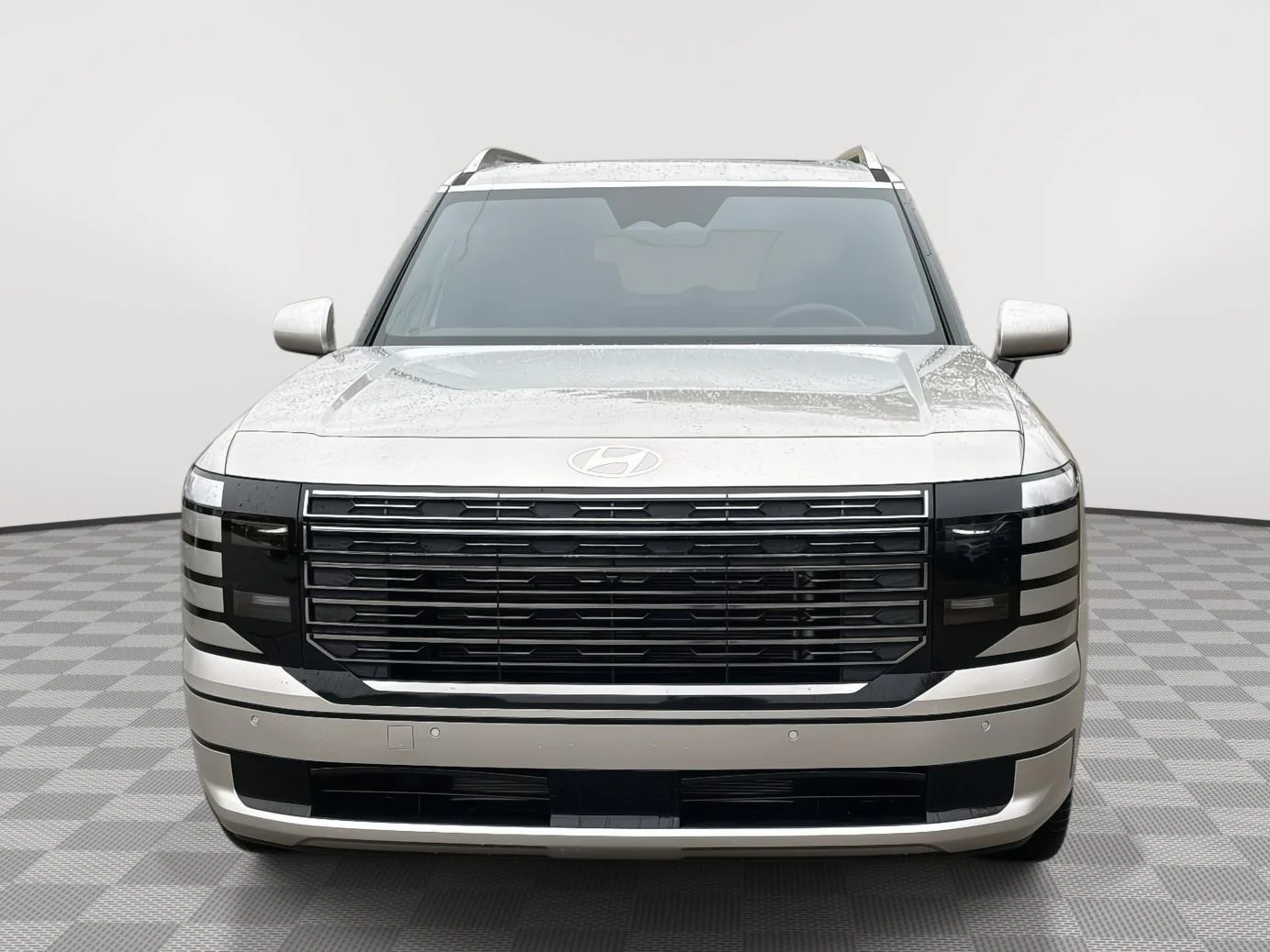 New 2026 Typhoon Silver Metallic Hyundai Calligraphy image 2