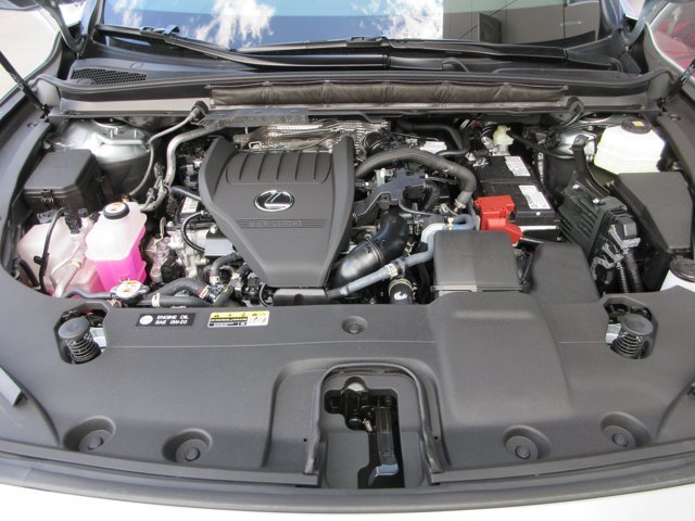 New 2026 Iridium Lexus PREMIUM image 52