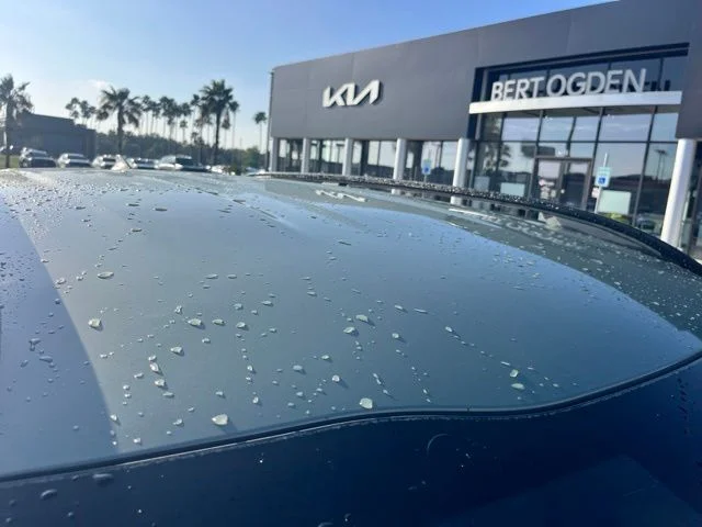 Used 2023 Green Kia X-Line image 5