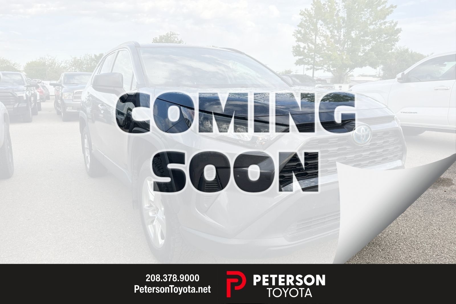 2021 Toyota RAV4 Hybrid LE AWD's photo