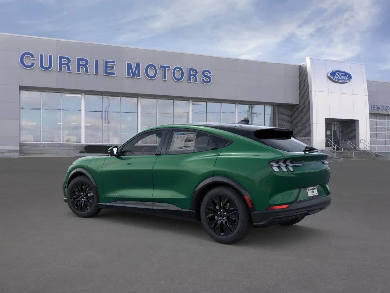 New 2026 Eruption Green Metallic Ford Premium image 4