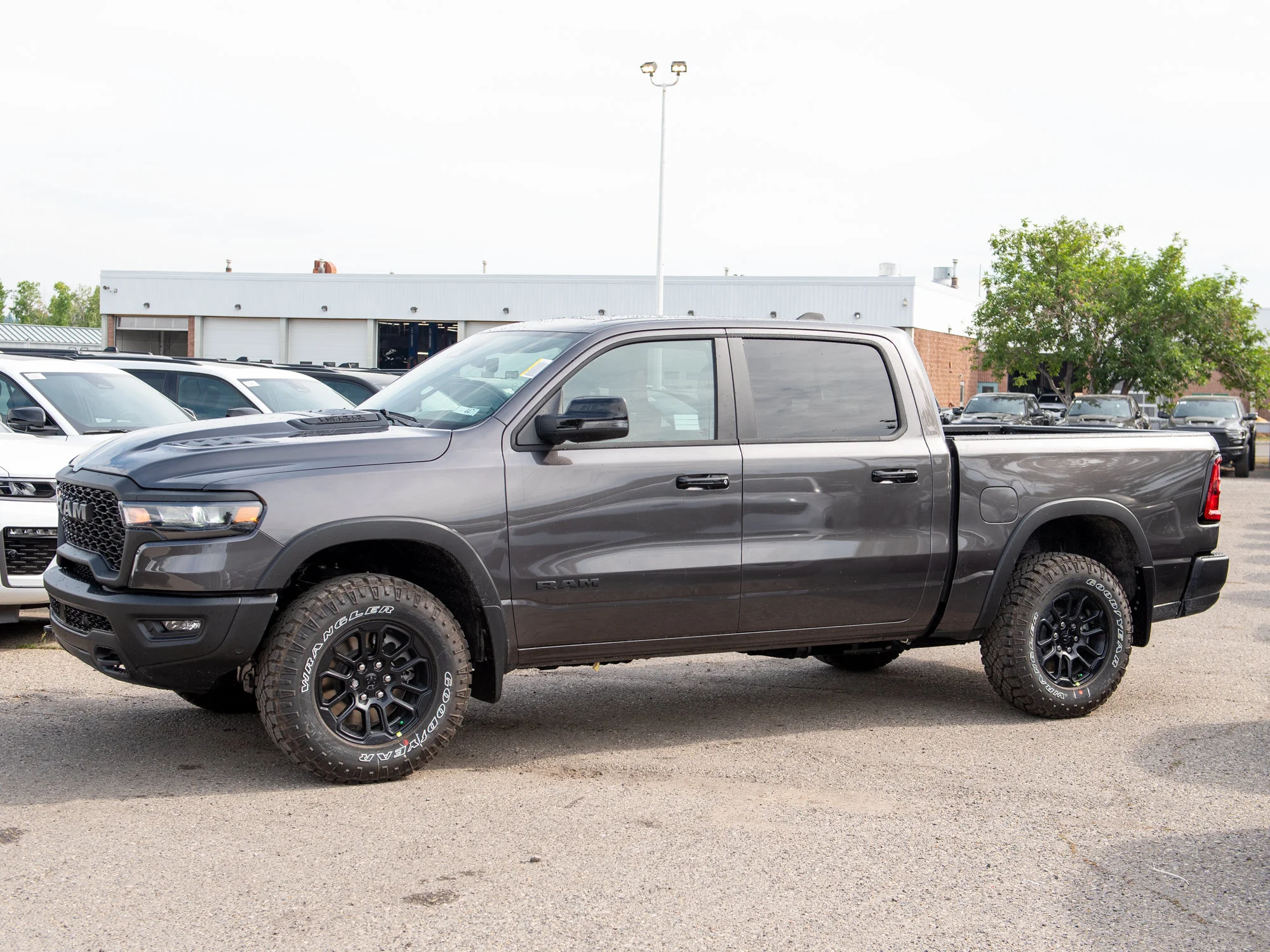 New 2026 Grey RAM Rebel* image 3