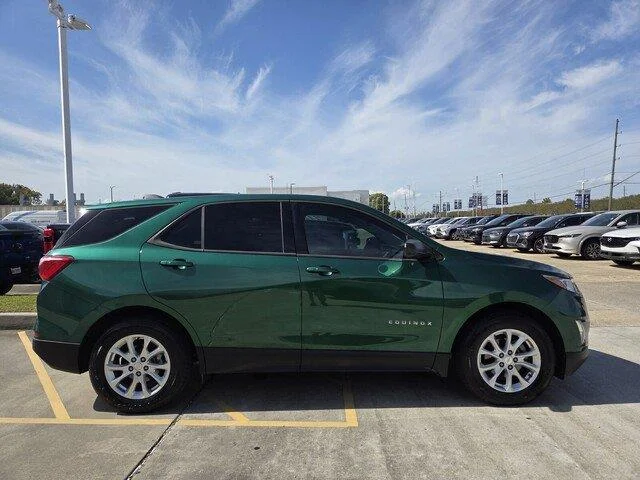 Used 2019 Ivy Metallic Chevrolet LS image 6