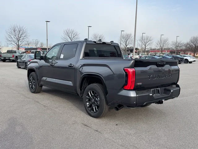 New 2026 Magnetic Gray Metallic Toyota  Platinum image 7