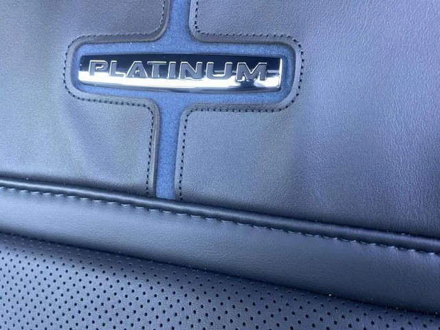 New 2026 White Ford Platinum image 13