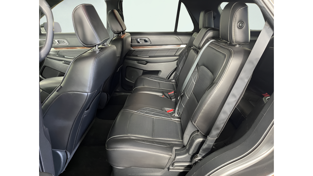 Used 2018 Magnetic Ford Platinum image 12