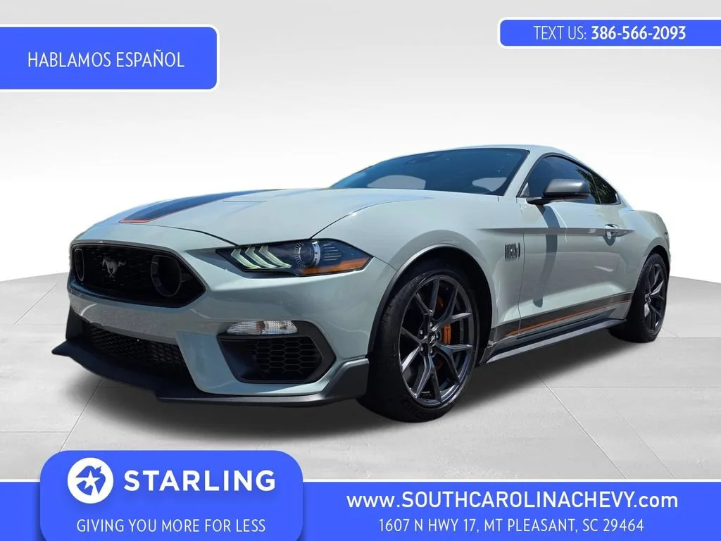 Used 2023 Gray Ford Mach 1 Fastback image 1
